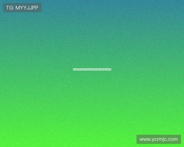 德甲升班马崛起之路：新贵如何在顶级联赛中生存与突围